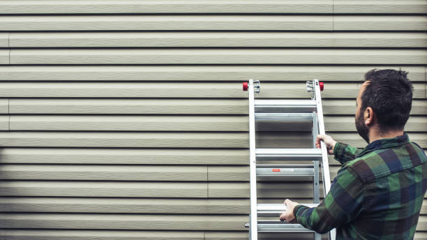 Best Siding Painting and Refinishing  in Esko, MN